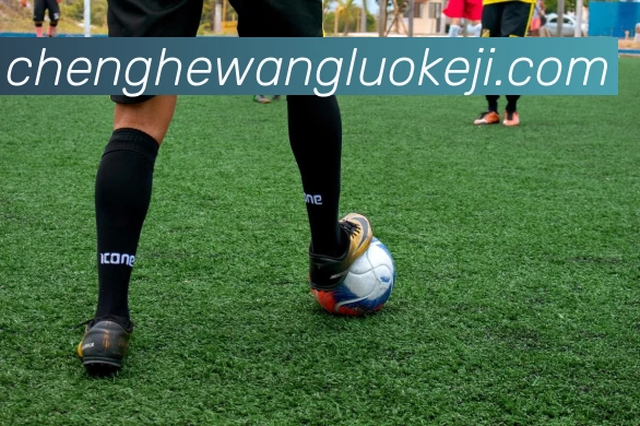 多媒体互动体验